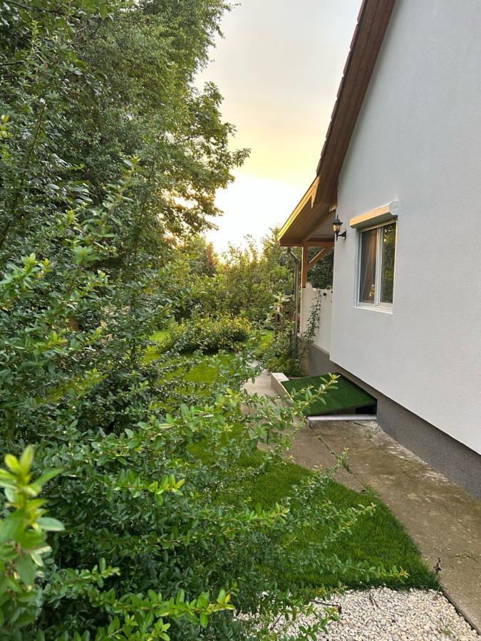 Balatonvilágos Kisvirag Vendeghazヴィラ エクステリア 写真